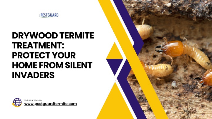 drywood termite treatment protect your home from