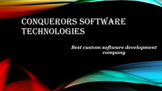 Conquerors Software Technologies 2