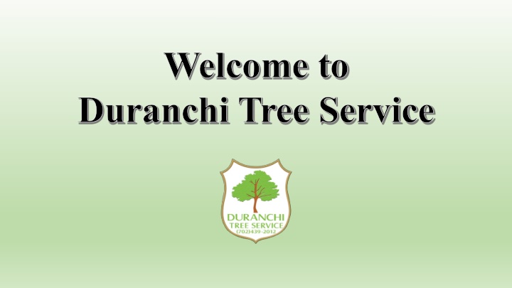 welcome to duranchi tree service