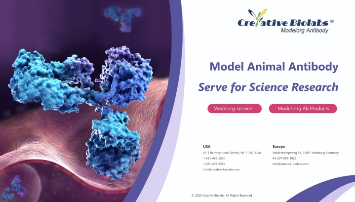model animal antibody serve for science research