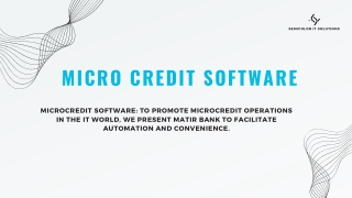 Micro Credit Software