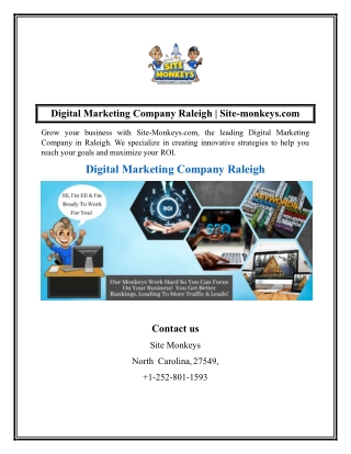 digital marketing company raleigh site monkeys com
