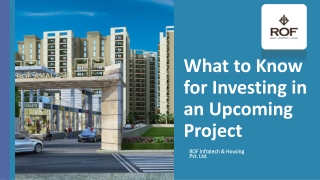 What to Know for Investing in an Upcoming Project?
