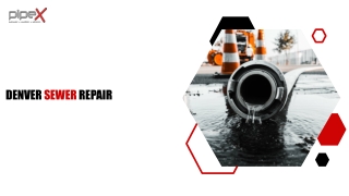 PipeX- The Renowned Place For Denver Sewer Repair Services