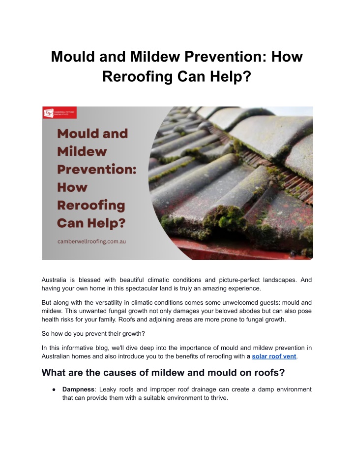 mould and mildew prevention how reroofing can help