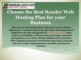 Choose the Best Reseller Web Hosting Plan for your Business