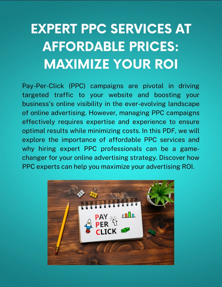 expert ppc services at affordable prices maximize