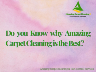 Amazing Carpet Cleaning & Pest Control Services