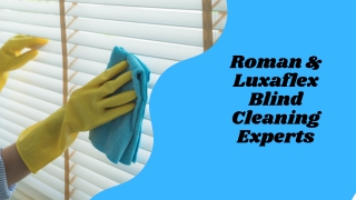 Roman & Luxaflex Blind Cleaning Experts