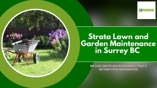 Strata Lawn and Garden Maintenance in Surrey BC - Evershine Landscaping