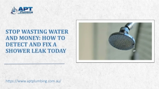 Stop Wasting Water and Money How to Detect and Fix a Shower Leak Today