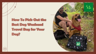 How To Pick Out the Best Dog Weekend Travel Bag for Your Dog?