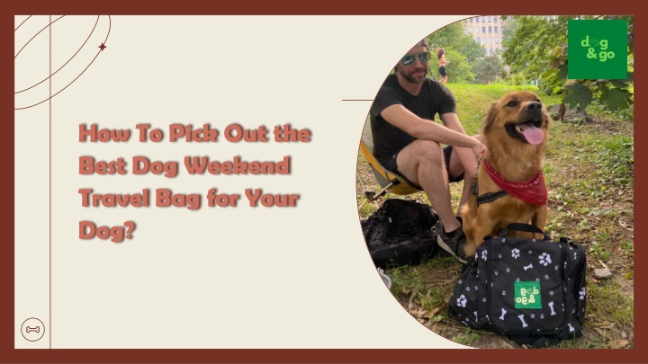 how to pick out the best dog weekend travel bag for your dog
