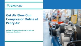 Get Air Blow Gun Compressor Online at Penry Air