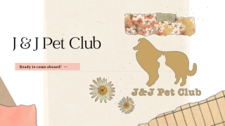 Explore the Exquisite Collection of Pidan Products at JJ Pet Club