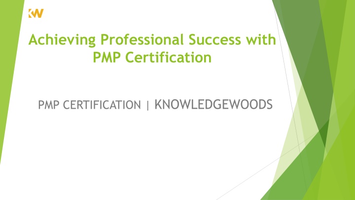 achieving professional success with pmp certification