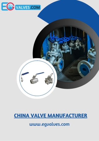 China Valve Manufacturer | Eg Valve