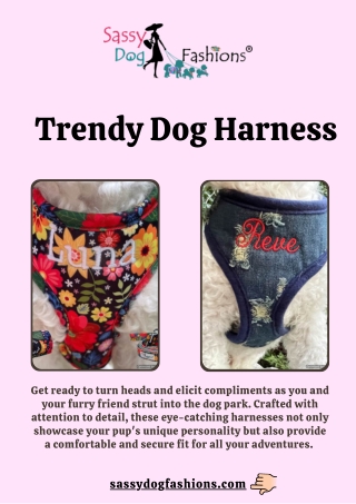 Walk with Pride: Personalized Dog Harness by Sassy Dog Fashions®