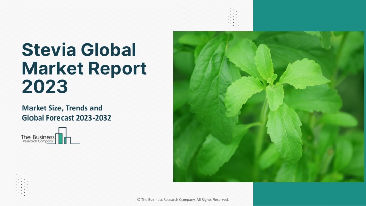 stevia global market report 2023