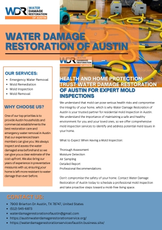 Health and Home Protection: Trust Water Damage Restoration of Austin for Expert
