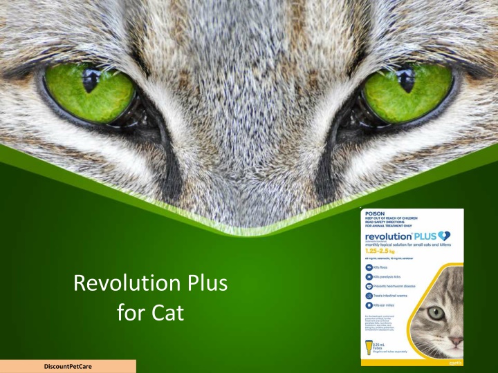 revolution plus for cat