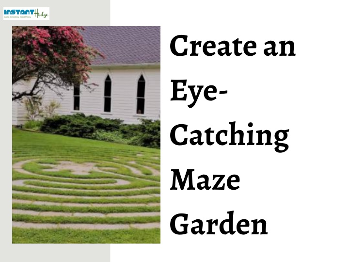 create an eye catching maze garden