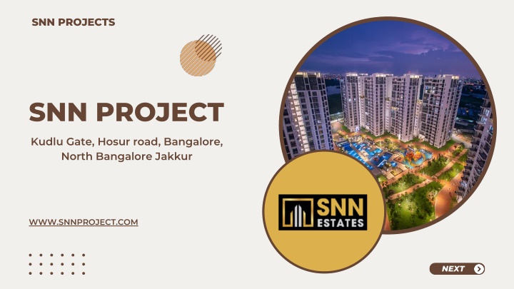 snn projects