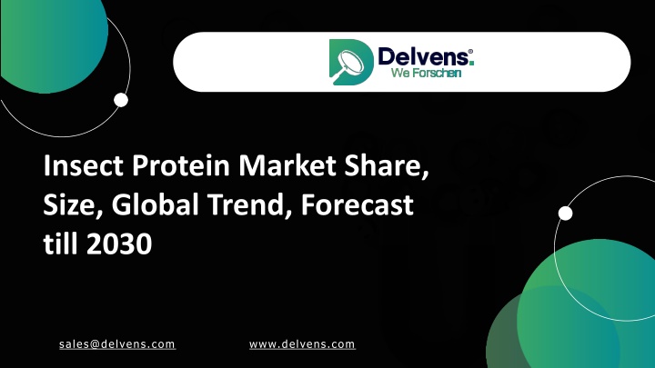 insect protein market share size global trend