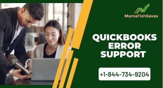 quickbooks error support