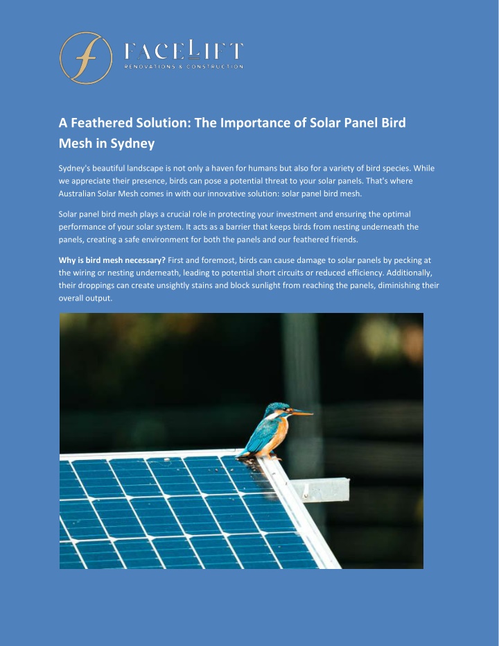 a feathered solution the importance of solar