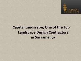 Capital Landscape, One of the Top Landscape Design Contractors in Sacramento