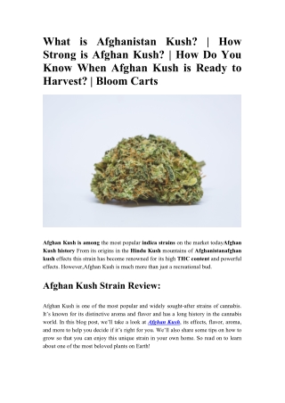 What is Afghanistan Kush - How Strong is Afghan Kush - How Do You Know When Afghan Kush is Ready to Harvest - Bloom Cart