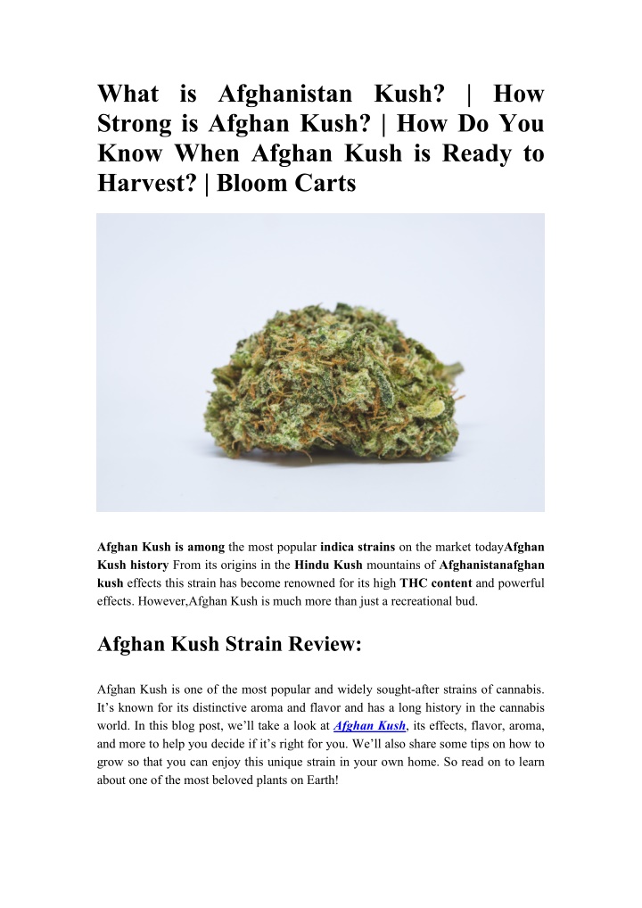 what is afghanistan kush how strong is afghan