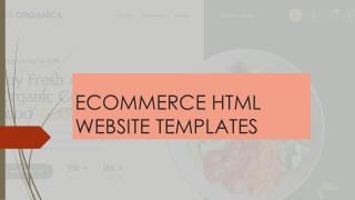 TOP-QUALITY ECOMMERCE HTML WEBSITE TEMPLATES | MG TECHNOLOGIES