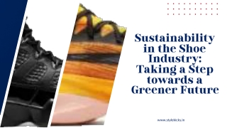 Sustainability in the Shoe Industry: Taking a Step towards a Greener Future
