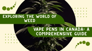 Exploring the World of Weed Vape Pens in Canada A Comprehensive Guide - Buy Bud Online