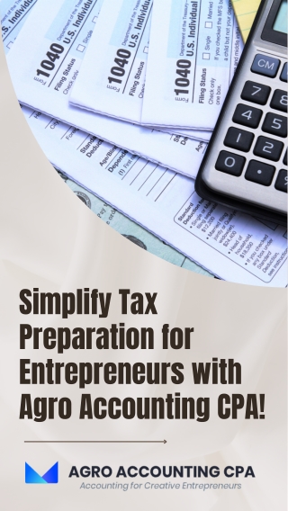 Simplify Tax Preparation for Entrepreneurs with Agro Accounting CPA!