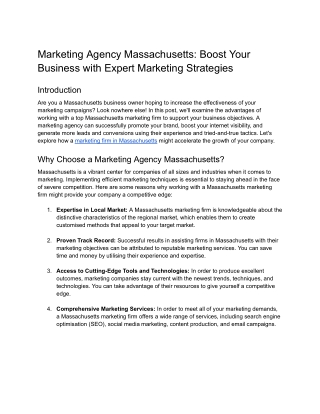 Marketing Agency Massachusetts_ Boost Your Business with Expert Marketing Strategies (2)