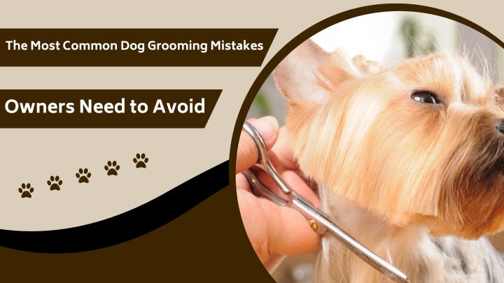 the most common dog grooming mistakes