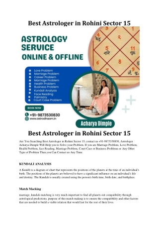 Best Astrologer In Rohini Sector 15  91-9873530830
