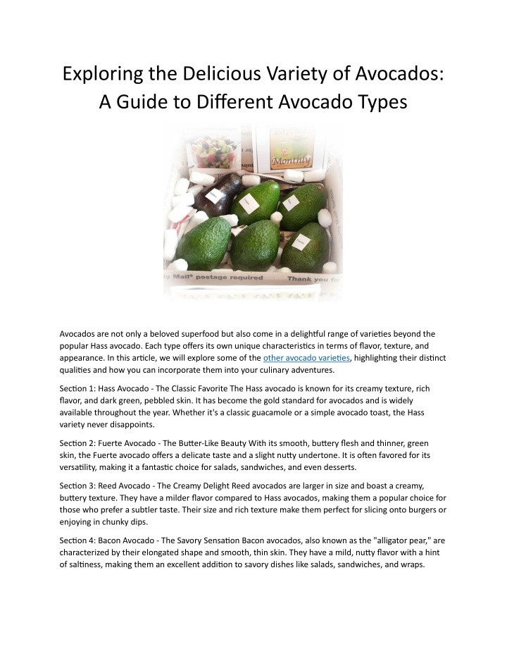 exploring the delicious variety of avocados