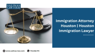 Top immigration lawyers in Houston, TX.