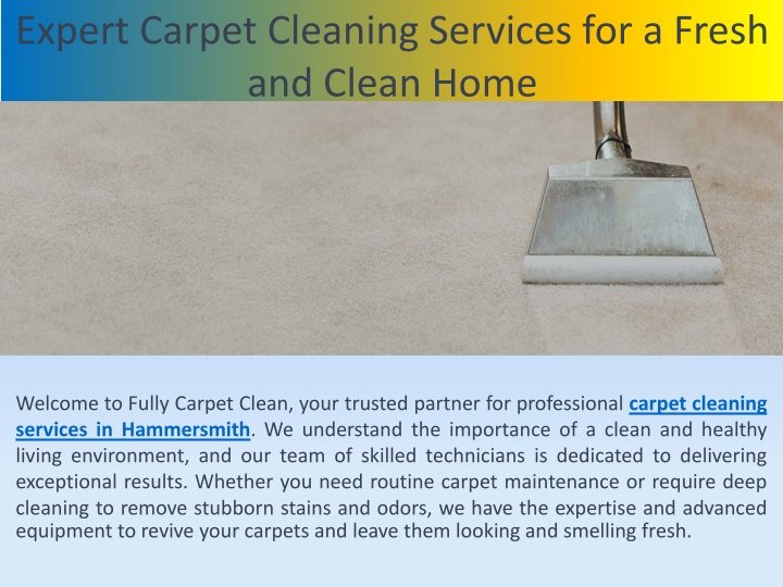 expert carpet cleaning services for a fresh