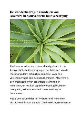 De wonderbaarlijke voordelen van Aloëvera in Ayurvedische huidverzorging