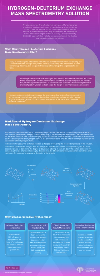 Hydrogen-Deuterium Exchange Mass Spectrometry Solution