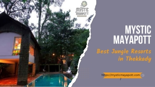 Mystic Mayapott - Best Jungle Reesorts in Thekkady