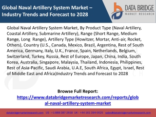global naval artillery system market industry