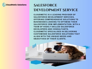 Salesforce Development Service