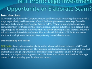 NFT Profit  Legit Investment Opportunity or Elaborate Scam