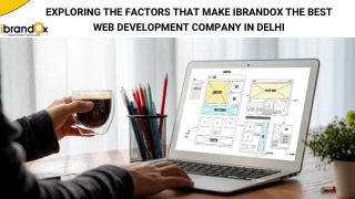 exploring the factors that makes the ibrandox web development company in delhi (2)